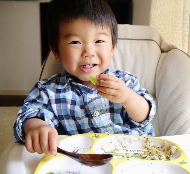 【最新】子供の偏食を解決するポイント！